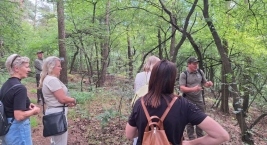 Wykład w lesie